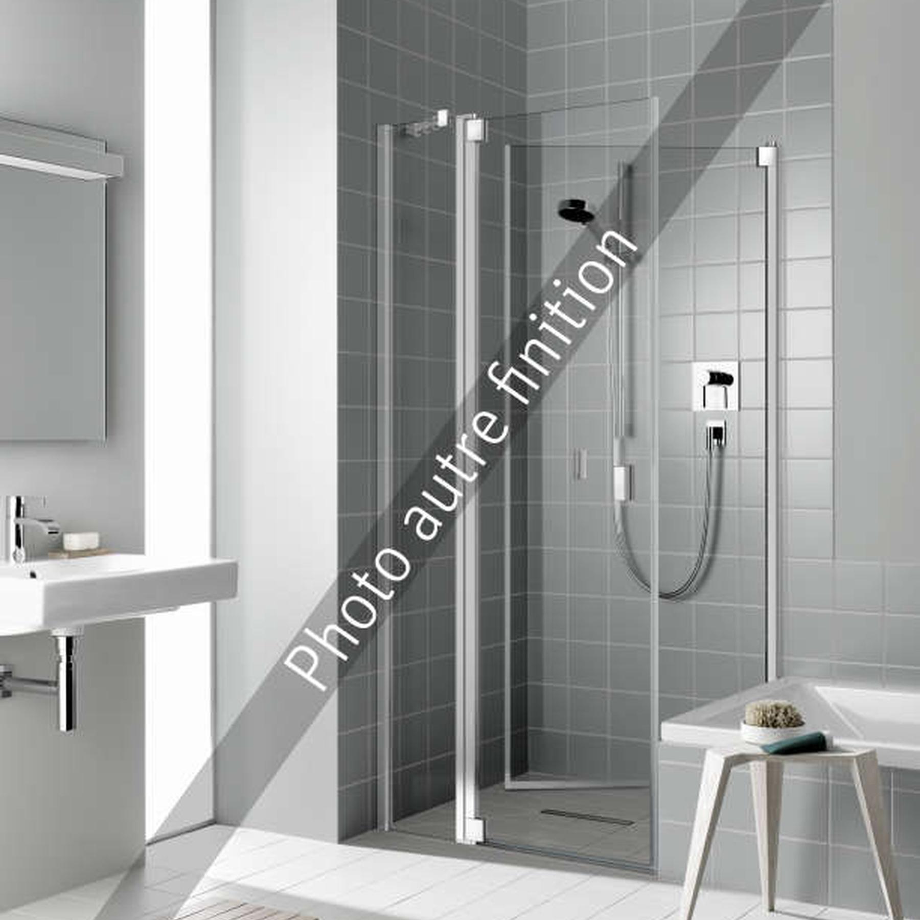 Paroi de douche fixe ROTH RAYA RATBR largeur 100 cm hauteur 200 cm argent finition mat verre clair