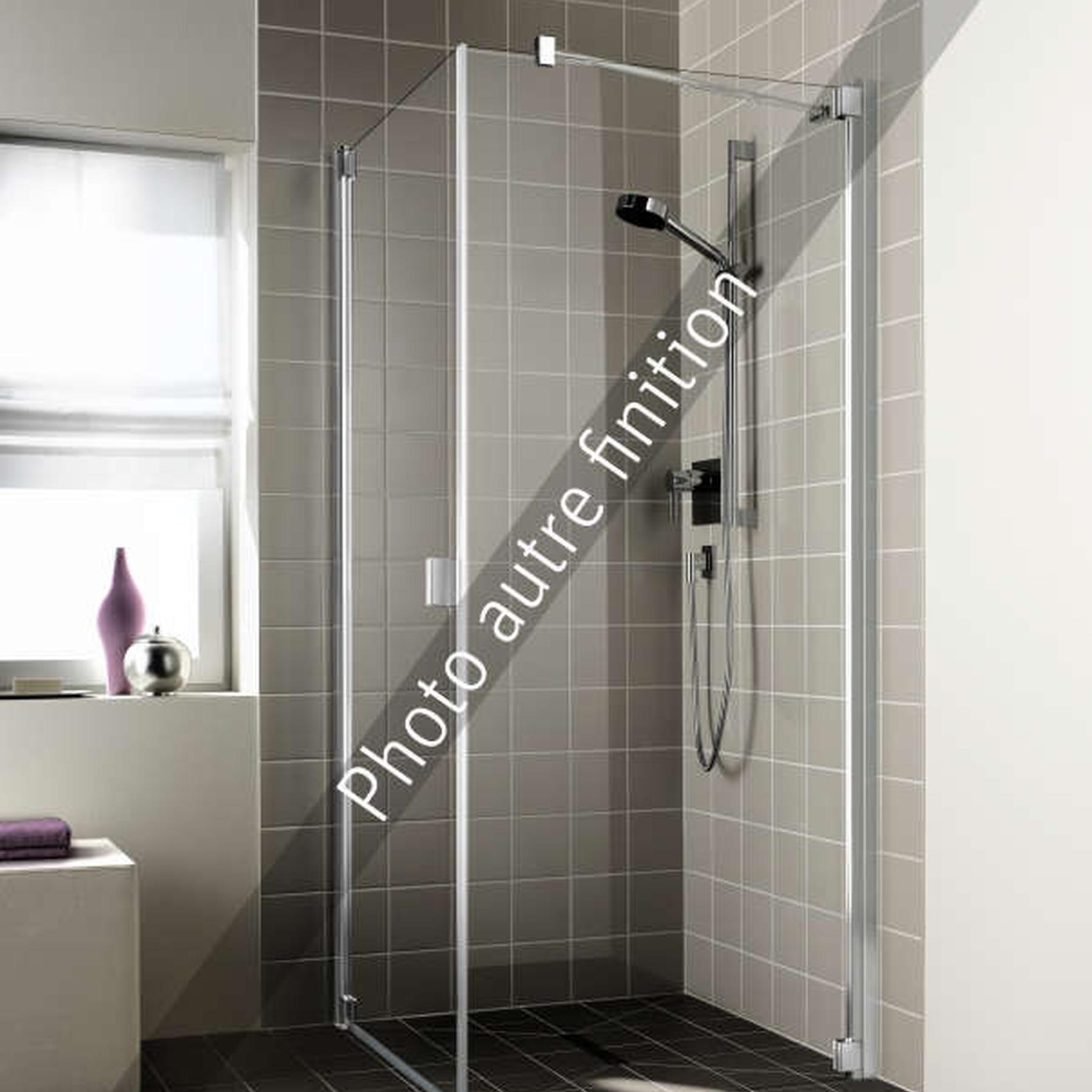 Paroi de douche fixe ROTH RAYA RATOL largeur 100 cm hauteur 200 cm argent finition mat verre clair