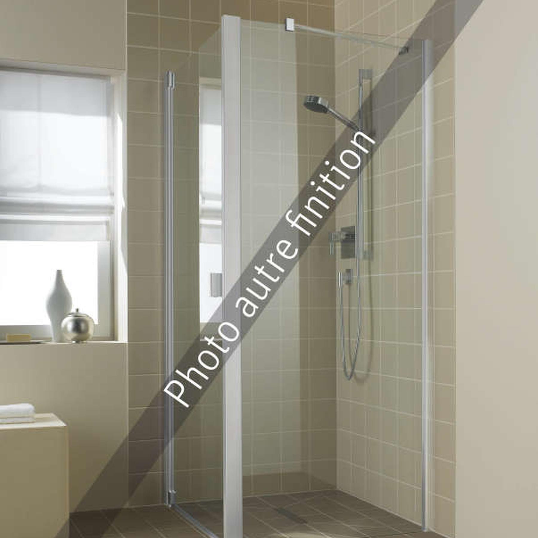 Paroi de douche fixe ROTH RAYA RATWD largeur 100 cm hauteur 200 cm argent finition mat verre clair