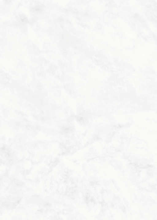 PREPANEL panneau ROTH VIPANEL MARBRE BLANC finition mat largeur 80cm hauteur 2,10m épaisseur 3mm
